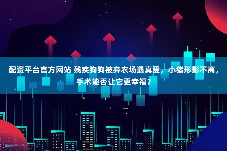 配资平台官方网站 残疾狗狗被弃农场遇真爱，小猪形影不离，手术能否让它更幸福？