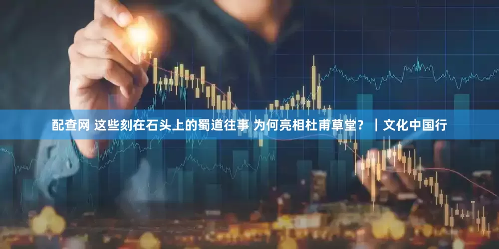配查网 这些刻在石头上的蜀道往事 为何亮相杜甫草堂？｜文化中国行